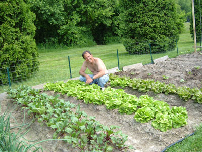 startseedsindoors.jpg