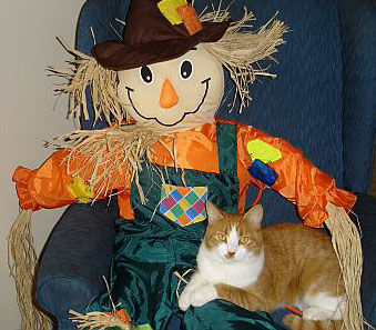 Tiger with Scarecrow - Halloween