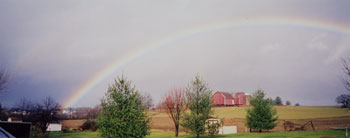 Rainbow on the Farm