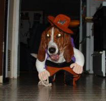 Sadie the Cowgirl