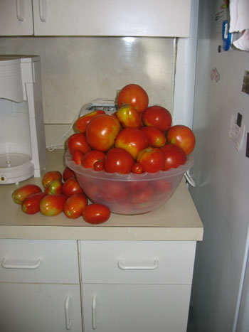 Aunt Lourdes' Tomatoes