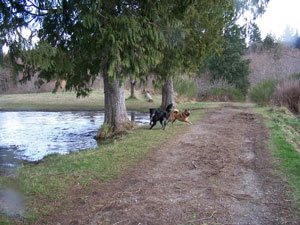 Maggie and Shadow at Howe Farm