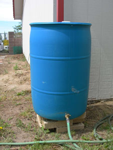 Homemade Rain Barrel