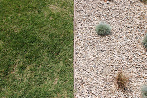Killing Grass in Rock Ground Cover