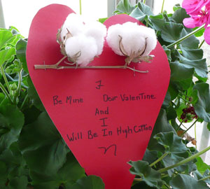 2008 Valentine