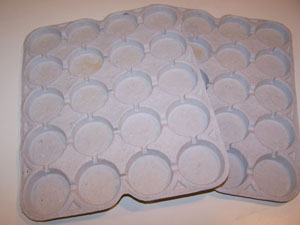 Reuse Packing Trays For Paint Or Beads