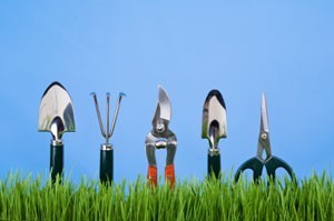 10 Tools Every Gardener Should Have 