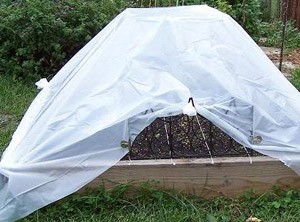 Mini Greenhouse For A Head Start