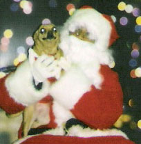 Sable's Christmas Picture