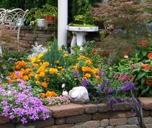 Garden: Plant Annuals Close Together