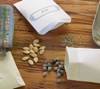 Simple Science For Gardeners: Hybrids and Heirlooms Explained