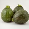 Three Great Plants To Try This Year