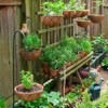 Three Reasons Container Plants Fail