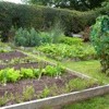 Directions for Building Simple Raised Beds
