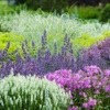 Tips for Low Maintenance Flower Gardening
