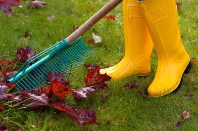 Gardening Tips on Fall Gardening Tips   Thriftyfun