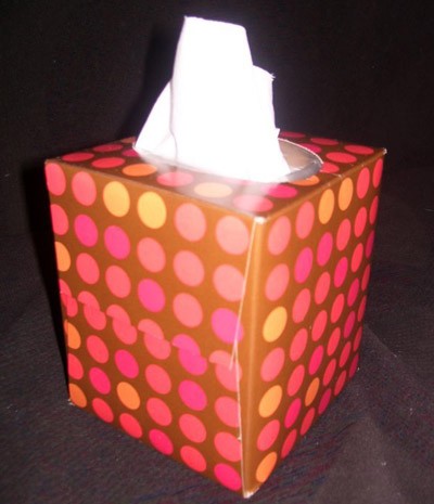 estrbsk2.400x465.jpg