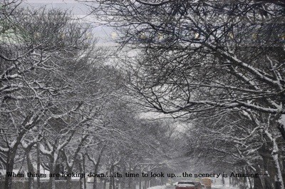 Scenery: Winter (Hicksville, NY)
