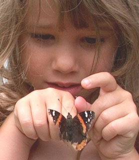 Butterfly and Little Girl