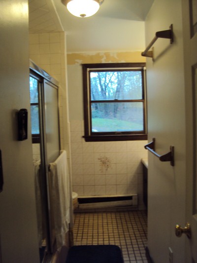 RE: Painting Laminate Countertops