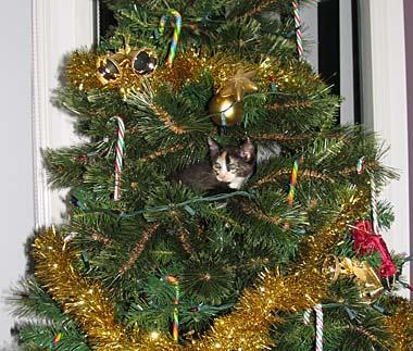 RE: Saving Money by Decorating Yourself