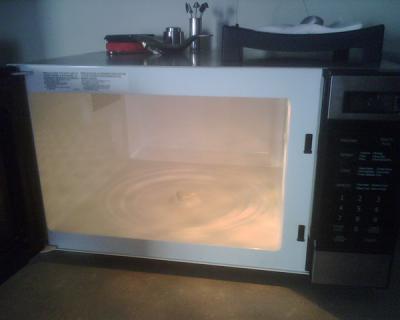 RE: Removing Burnt Smell From Microwave