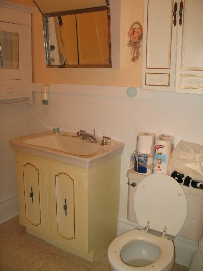 RE: Bathroom Paint Color Advice - Brown Bag Wallpaper
