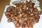 RE: Soap Nuts: The Soap That Grows on Trees