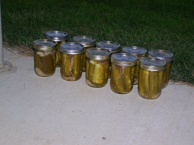 RE: Canning Pickles Without Boiling Water Bath