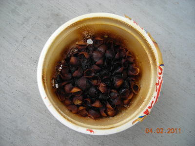 RE: Removing Burnt Smell From Microwave