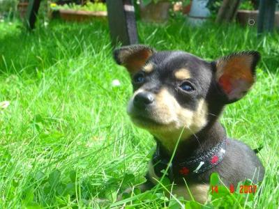 7 weeks little new one