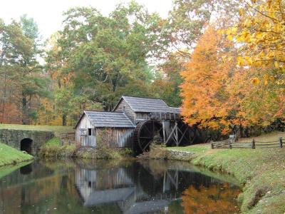 RE: Fall Colors (Warren County, NC)