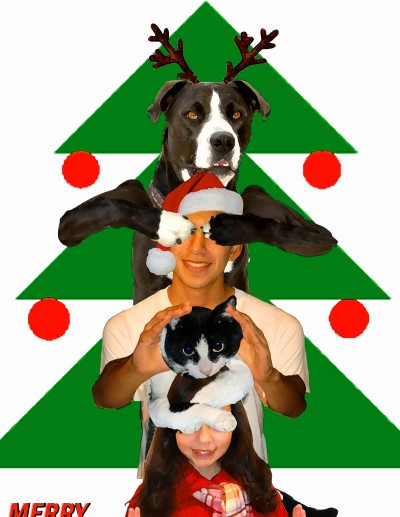 RE: Christmas Picture Ideas To Go With Christmas Cards