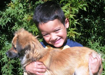 RE: Dachshund/Pomeranian Mix Photos