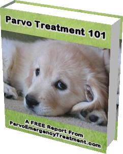 how to cure parvo without a vet