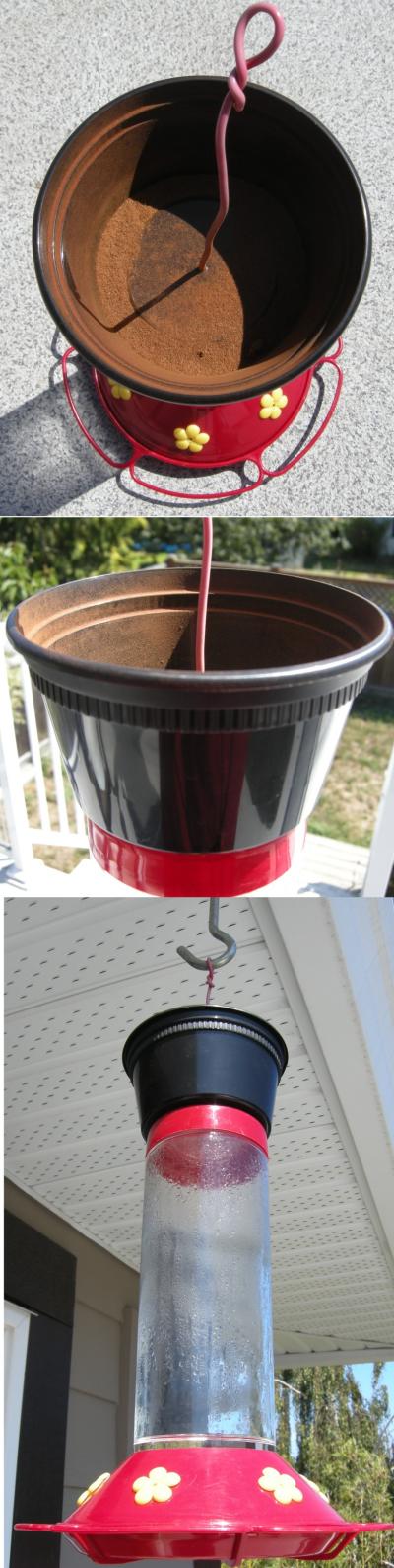 RE: Keeping Earwigs Out of Bird Feeders