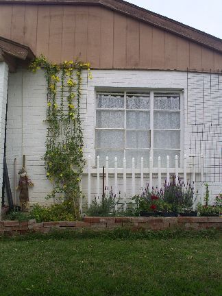 Box Trellis