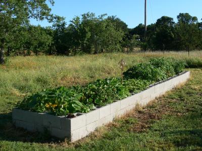 RE: Garden: Concrete Block Raised Bed