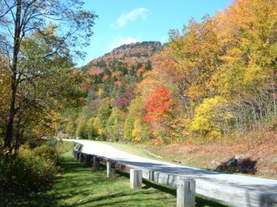 RE: Fall Colors (Warren County, NC)