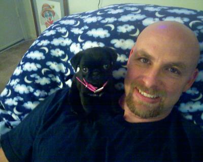 RE: Bandit (Chihuahua/Spitz) KING of the HOUSE