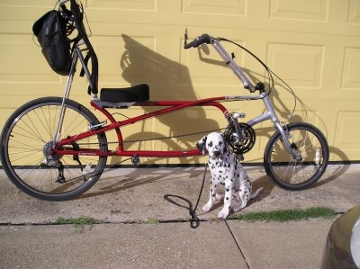 RE: Use Your Bicycle For Everything