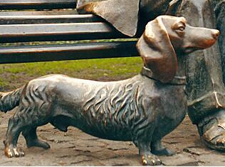 RE: In Memory of Kasha (Dachshund)