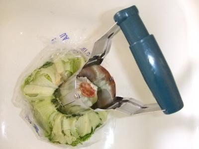 RE: Coring Lettuce