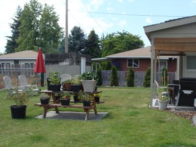 RE: Getting Started With Container Gardening