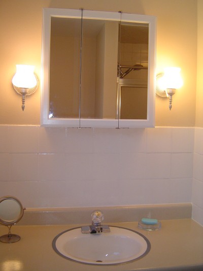 RE: Painting Laminate Countertops