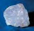 RE: What Does Salt Do to Cells?