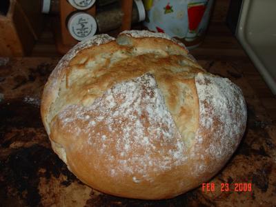 RE: Making Sourdough Bread in a Bread Machine