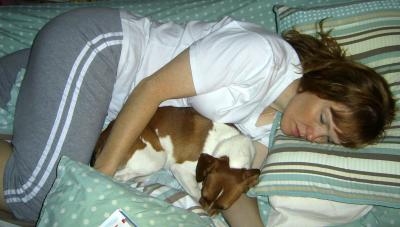 RE: Bailey (Basset Hound Mix)