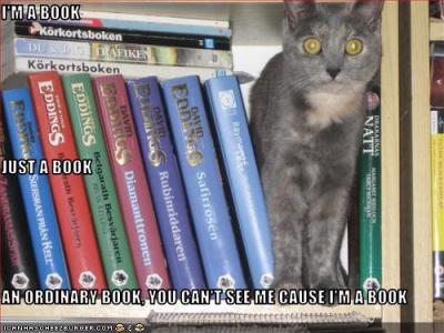 RE: Message to Accompany Gift of Pen to New Writer