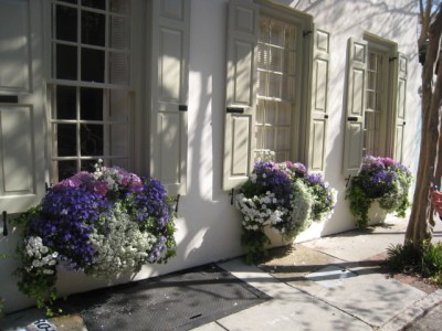 RE: Unique Planter Ideas